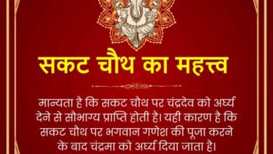 सकट चौथ: संतान की रक्षा और संकटों से मुक्ति का महाव्रत, करें ये खास उपाय, #SakatChauth